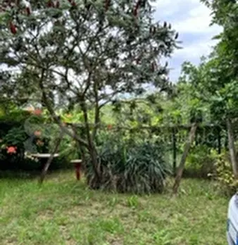 Foto annuncio 39
