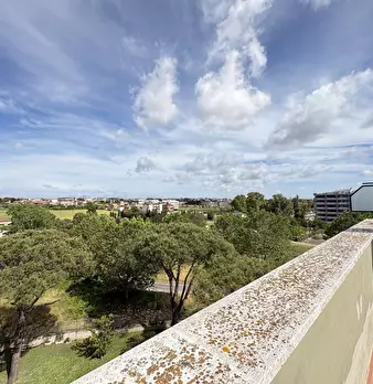 Foto annuncio 24