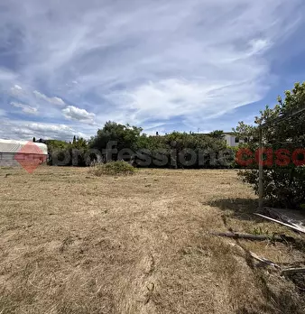 Foto annuncio 21