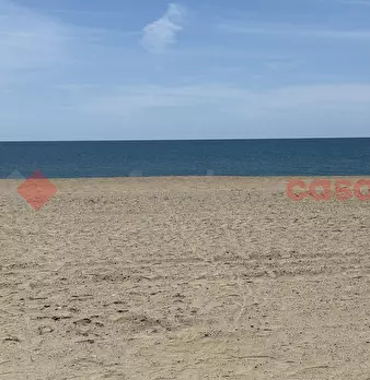 Foto annuncio 41