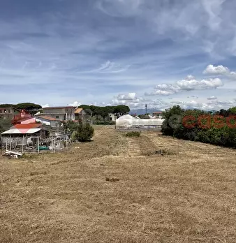 Foto annuncio 27