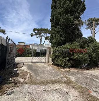 Foto annuncio 35