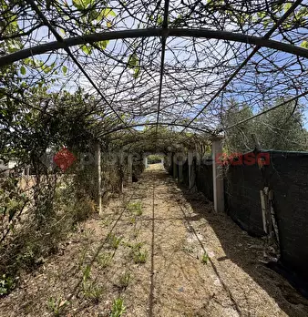 Foto annuncio 8