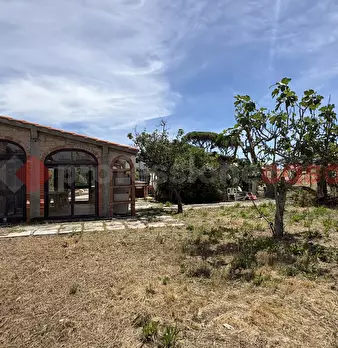 Foto annuncio 33