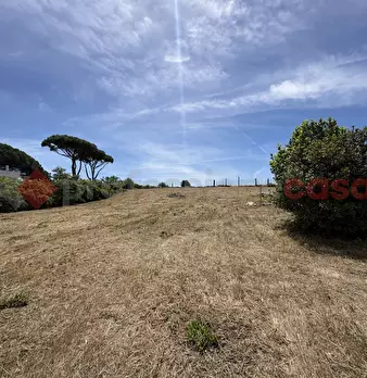 Foto annuncio 23