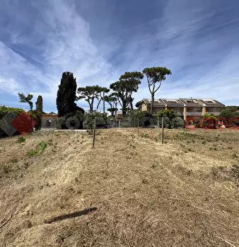 Foto annuncio 31