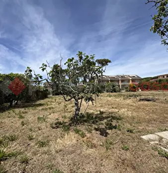 Foto annuncio 30