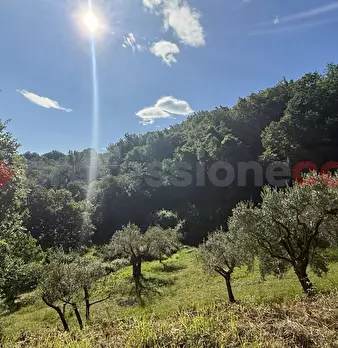 Foto annuncio 16
