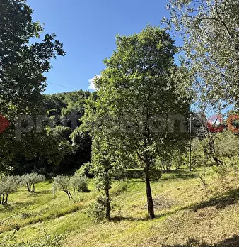 Foto annuncio 9
