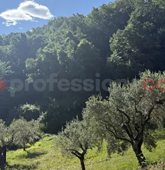 Foto annuncio 15