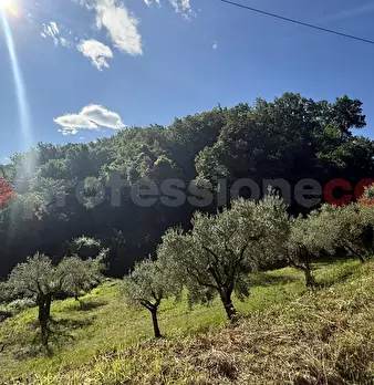 Foto annuncio 17