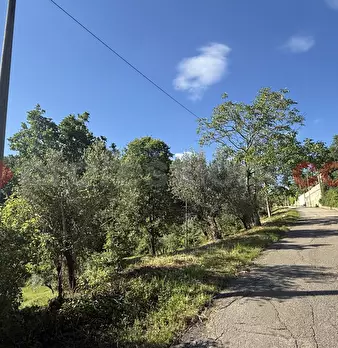 Foto annuncio 13