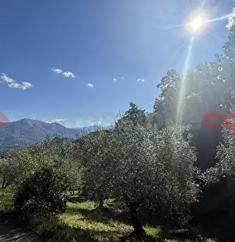 Foto annuncio 18