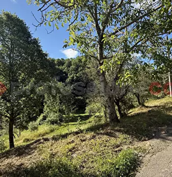 Foto annuncio 14