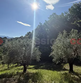 Foto annuncio 4
