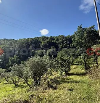 Foto annuncio 12