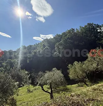 Foto annuncio 6