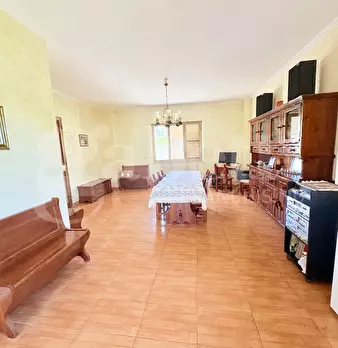 Foto annuncio 37