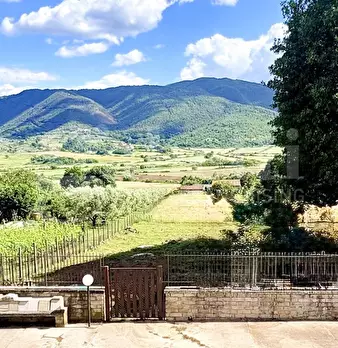 Foto annuncio 5