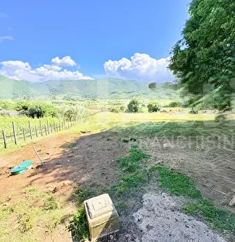 Foto annuncio 50