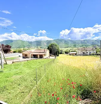 Foto annuncio 44