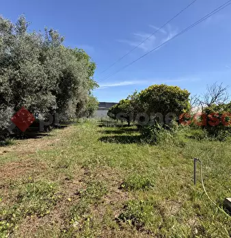 Foto annuncio 39