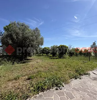Foto annuncio 31