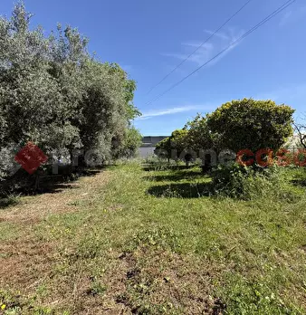 Foto annuncio 40