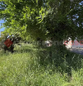 Foto annuncio 43
