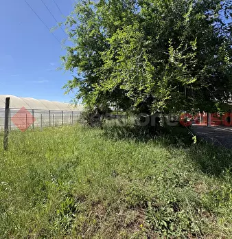 Foto annuncio 42