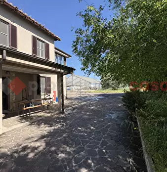 Foto annuncio 45