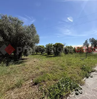 Foto annuncio 34