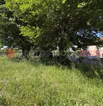 Foto annuncio 44