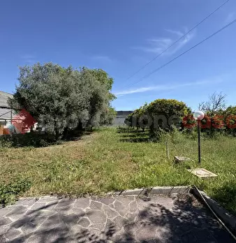 Foto annuncio 38