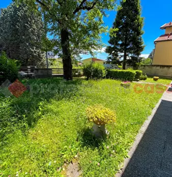 Foto annuncio 20