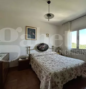 Foto annuncio 26