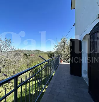 Foto annuncio 19