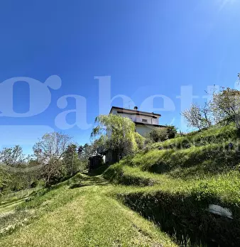 Foto annuncio 8