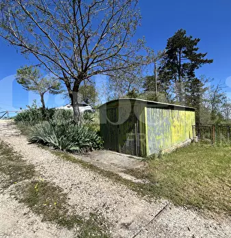 Foto annuncio 9