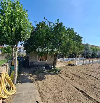 Foto annuncio 7