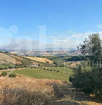 Foto annuncio 8