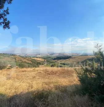 Foto annuncio 12
