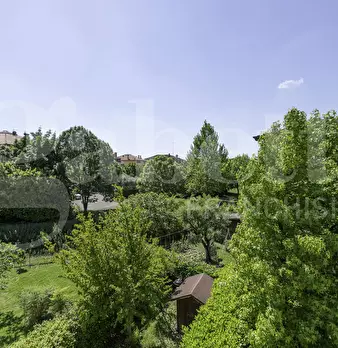 Foto annuncio 16