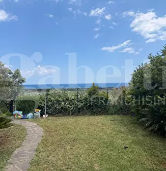 Foto annuncio 11
