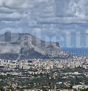 Foto annuncio 29
