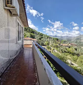 Foto annuncio 25
