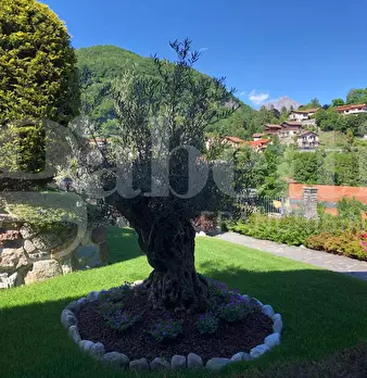 Foto annuncio 11