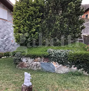 Foto annuncio 5