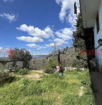 Foto annuncio 36