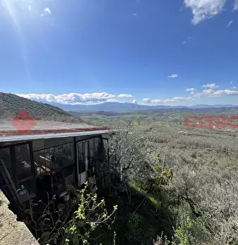 Foto annuncio 31
